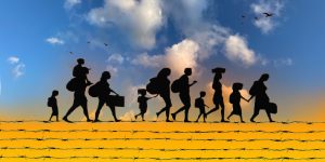 Migration.jpg